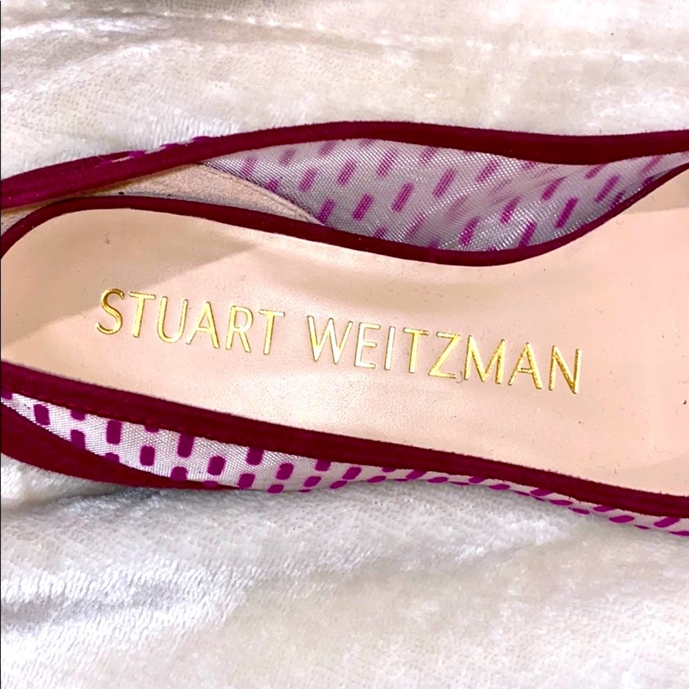 The Tasha Flat Stuart Weitzman Mesh Pointed - Picture 5 of 8
